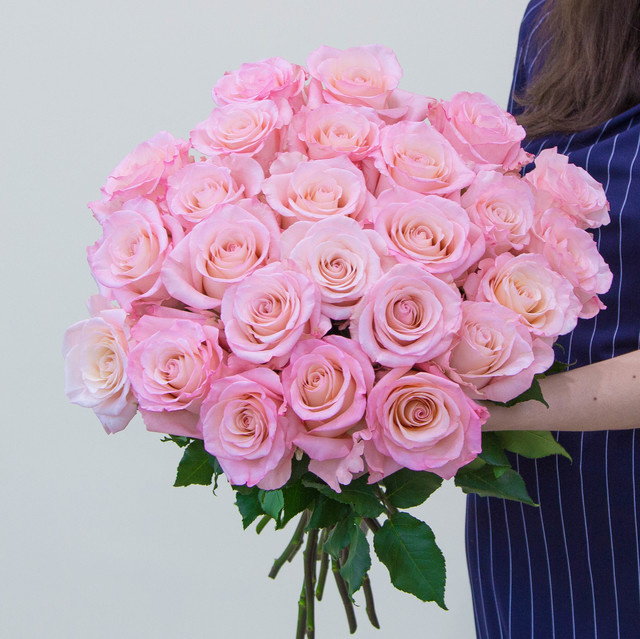 25 нежно-розовых роз с лентой