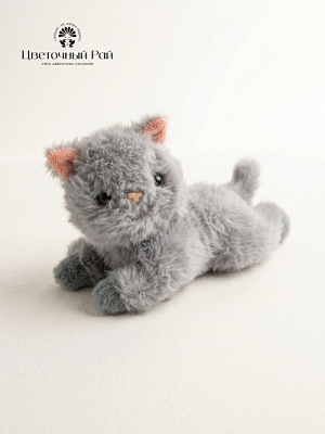 Кошечка Лиззи