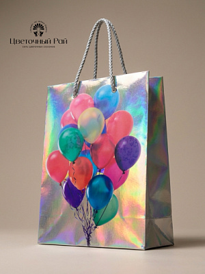 Пакет подарочный Шарики 23*15*8