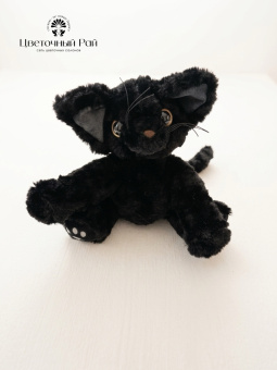 Кот Мажорик