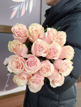 Моно из 15 роз Эквадор, сорт ''PINK MONDIAL'', с лентой