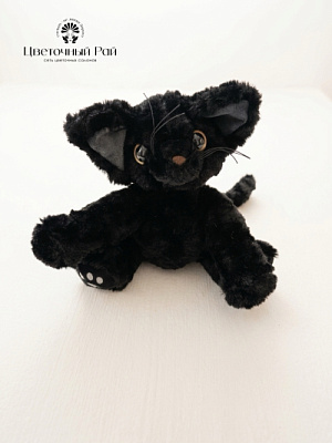 Кот Мажорик