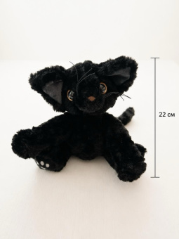 Кот Мажорик