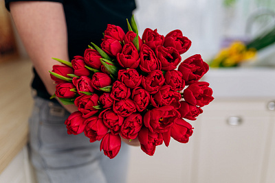 Моно из 35 красных пионовидных тюльпанов с лентой