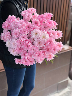 Хризантема кустовая розовая махровая