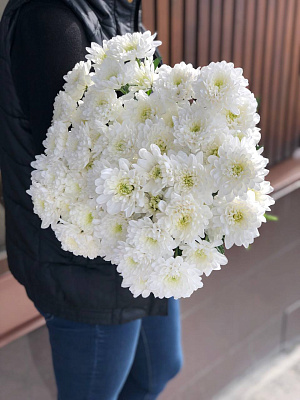 Хризантема кустовая белая махровая